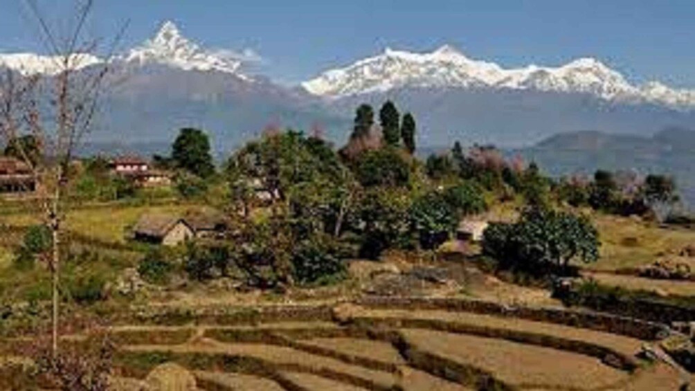 Picture 5 for Activity 2 Night 3 Days Easy Panchase hill trek from Pokhara