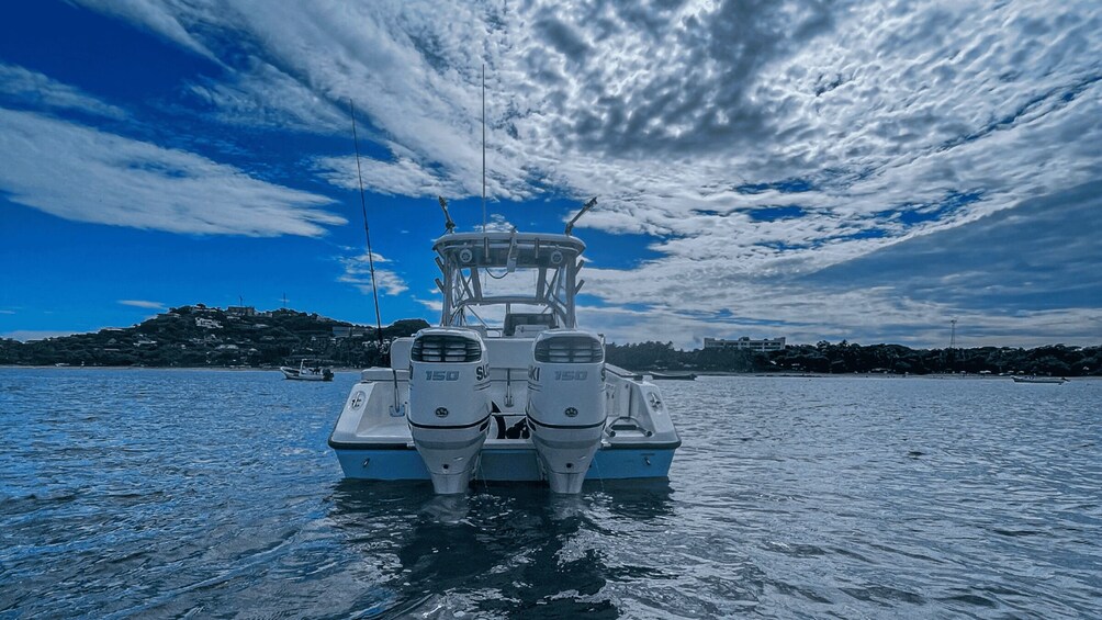 Picture 8 for Activity Tamarindo : Sport-fishing private charter