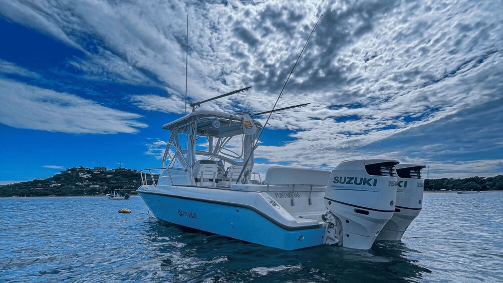 Picture 6 for Activity Tamarindo : Sport-fishing private charter