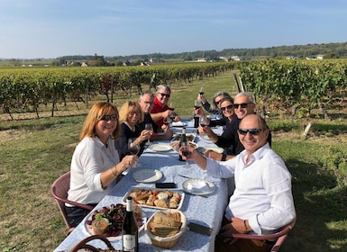 Full day wine tour with lunch at the winery : Vouvray&Chinon