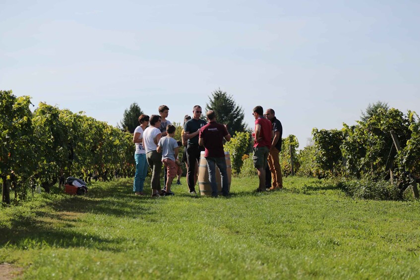 Picture 4 for Activity Full day wine tour with lunch at the winery : Vouvray&Chinon