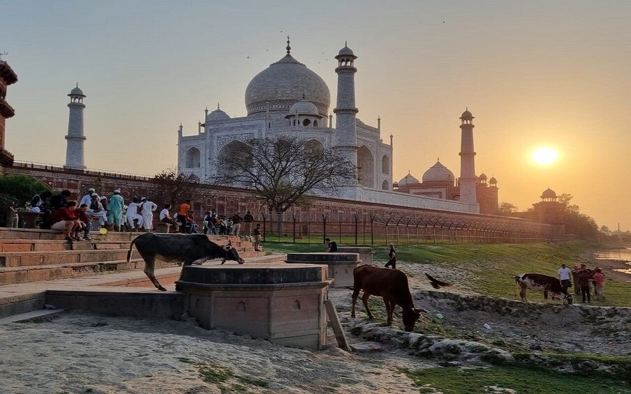 Picture 4 for Activity Agra: Taj Mahal Guided Tour with Lunch at 5-Star Hotel