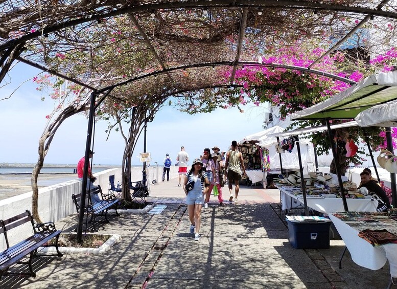 Picture 4 for Activity Get adventure touring the best of Panama: Panama city.