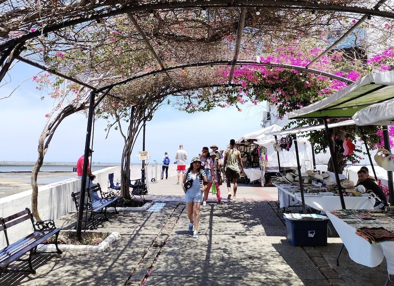 Picture 4 for Activity Get adventure touring the best of Panama: Panama city.