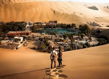 Lima: Paracas & Huacachina Oasis Day Trip with Wine & Dunes