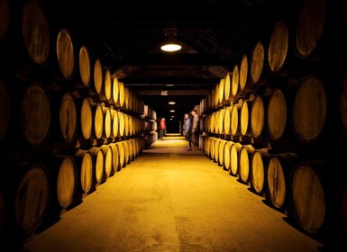 Cork: Midleton Distillery Behind the Scenes Tour & Tasting