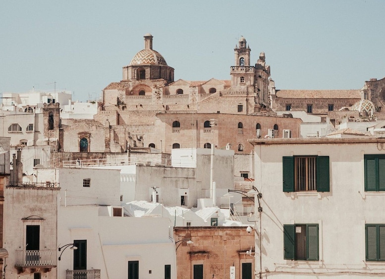 Picture 9 for Activity Polignano a Mare: Street Food Tour with Tastings and Wine