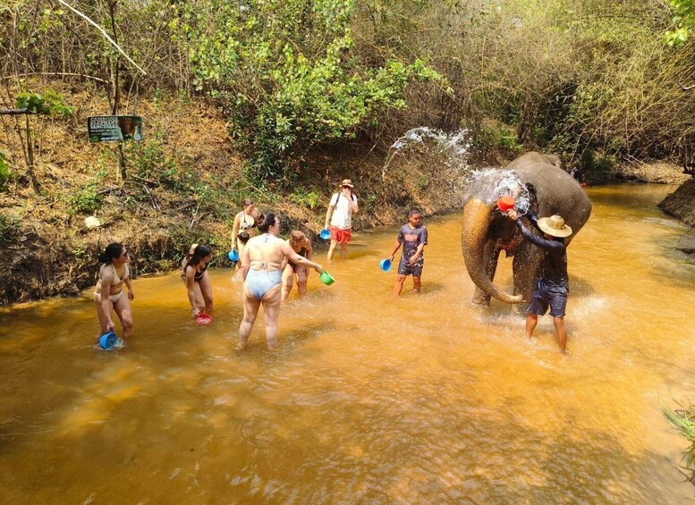 Picture 1 for Activity Cambodia Elephants Haft Day Experiences from Siem Reap