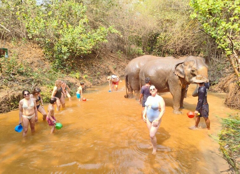 Picture 3 for Activity Cambodia Elephants Haft Day Experiences from Siem Reap