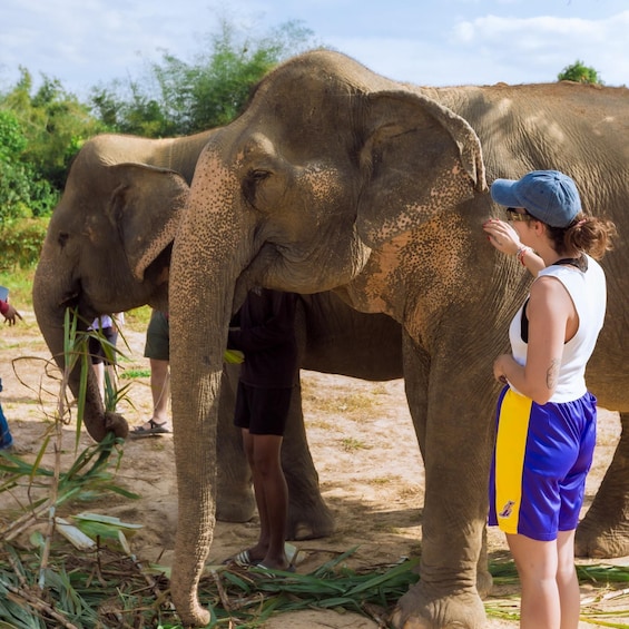 Picture 10 for Activity Cambodia Elephants Haft Day Experiences from Siem Reap