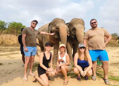 Cambodia Elephants Haft Day Experiences from Siem Reap