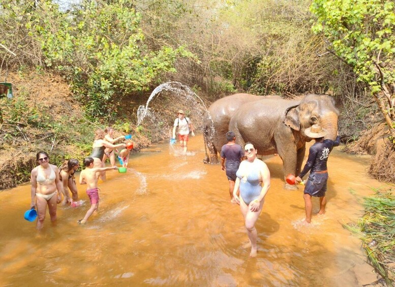 Picture 4 for Activity Cambodia Elephants Haft Day Experiences from Siem Reap