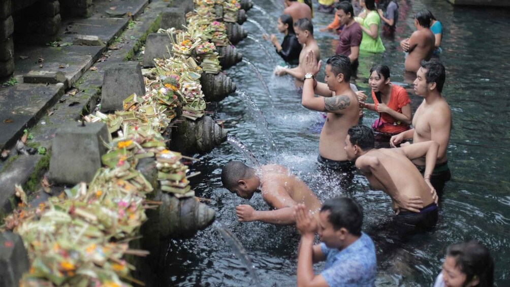 Picture 4 for Activity Central Bali: Ubud Village, Rice Terrace, and Kintamani Tour