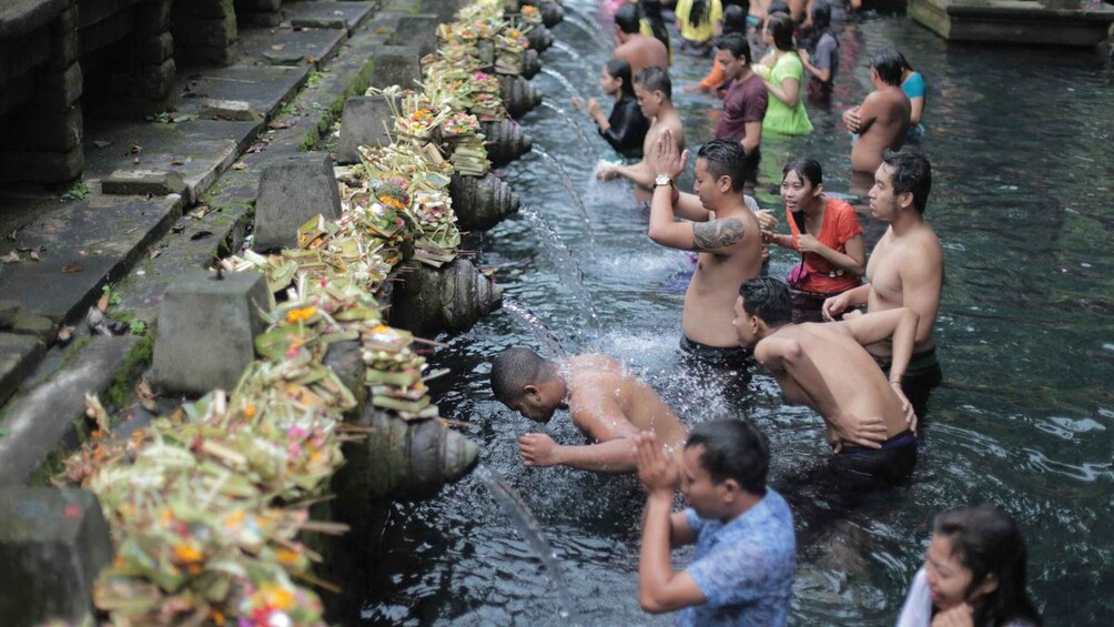 Picture 4 for Activity Central Bali: Ubud Village, Rice Terrace, and Kintamani Tour