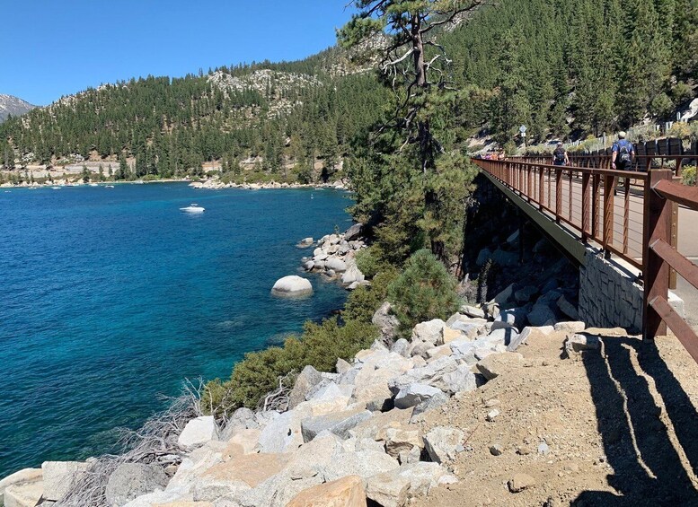 Picture 2 for Activity Lake Tahoe: 1-Day Bike Rental