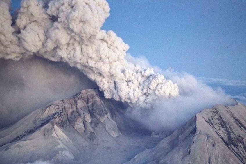 Picture 3 for Activity From Seattle: Mt Saint Helen Tour