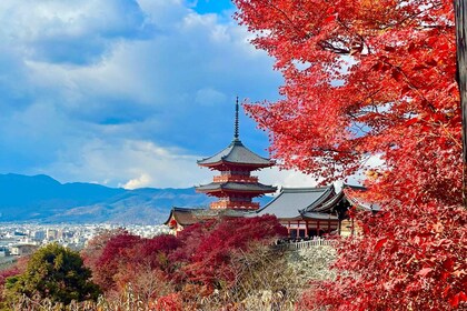 Kyoto: Fushimi Inari-taisha y Kiyomizu-dera (Spanish Guide)