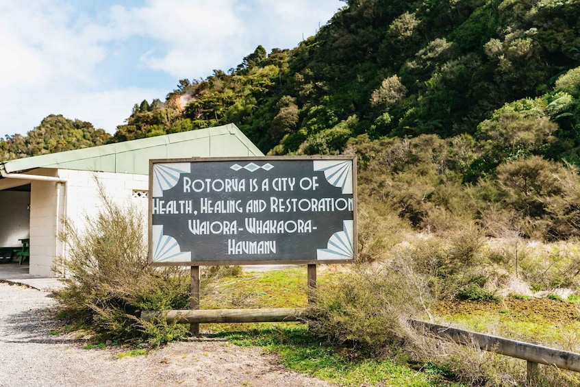 Picture 20 for Activity Rotorua: Waimangu Volcanic Valley Entry Ticket