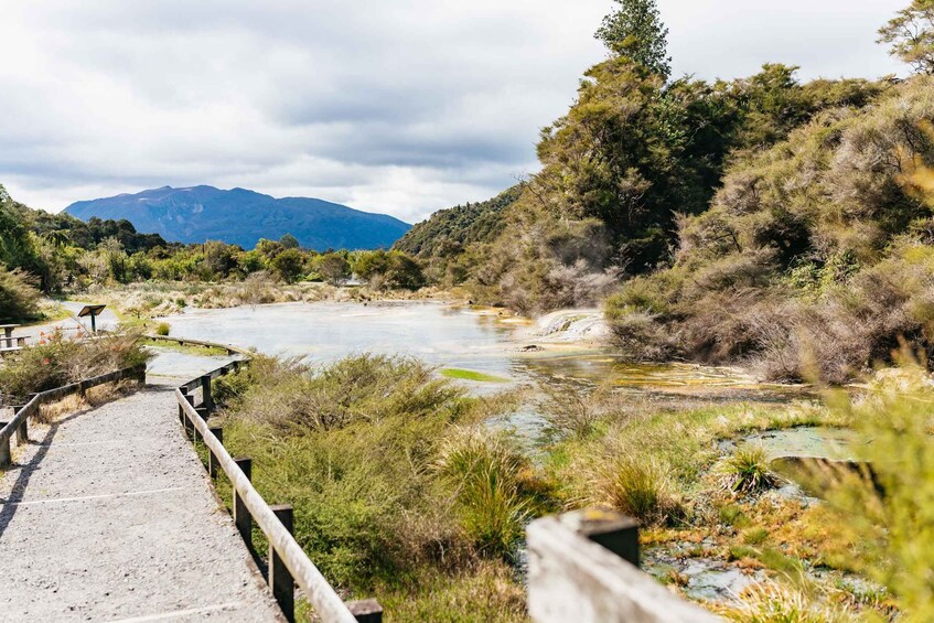 Picture 4 for Activity Rotorua: Waimangu Volcanic Valley Entry Ticket