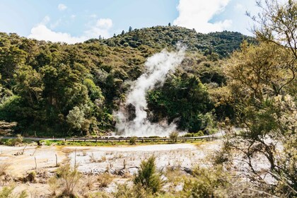 ロトルアワイマング火山渓谷入場券