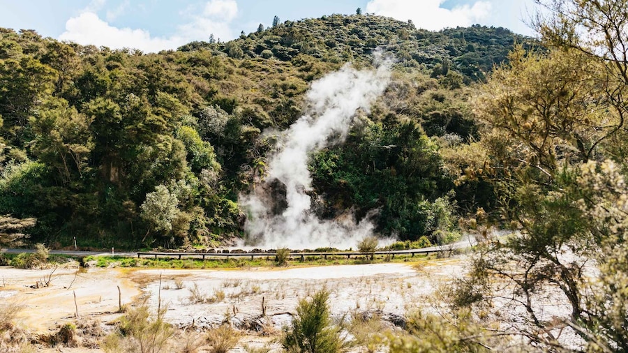 Rotorua: Waimangu Volcanic Valley Entry Ticket