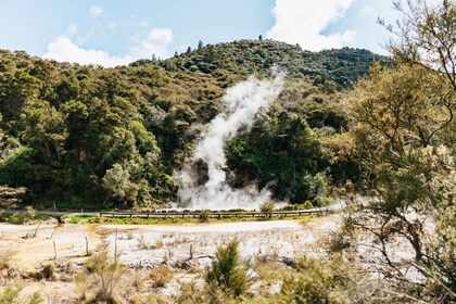 Rotorua: Biglietto d'ingresso alla valle vulcanica di Waimangu