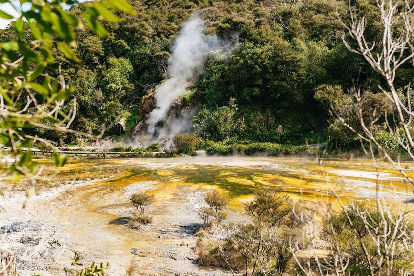 Picture 18 for Activity Rotorua: Waimangu Volcanic Valley Entry Ticket