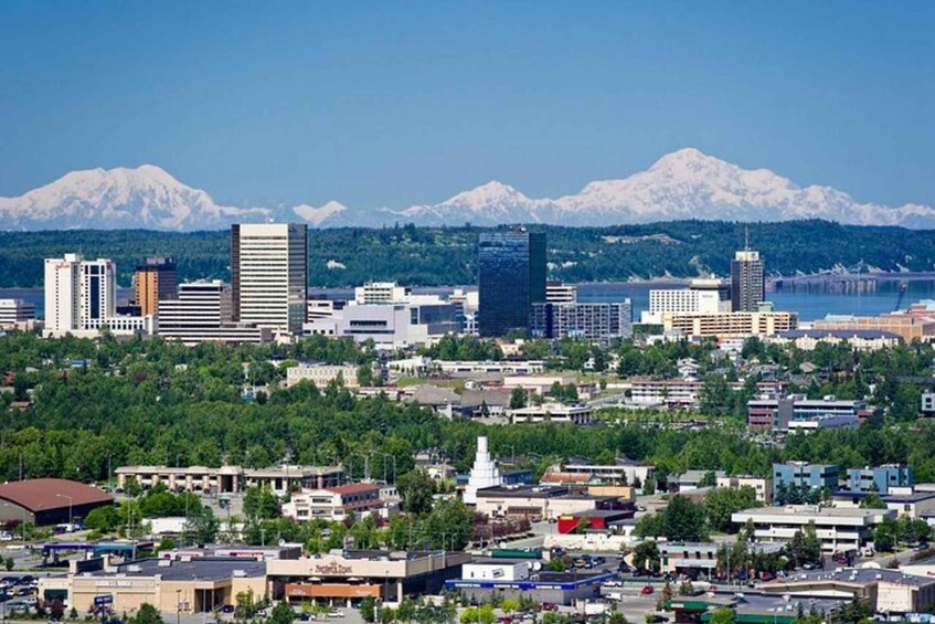 Anchorage City Tour w/ Wild Smoked Salmon & Reindeer Sausage