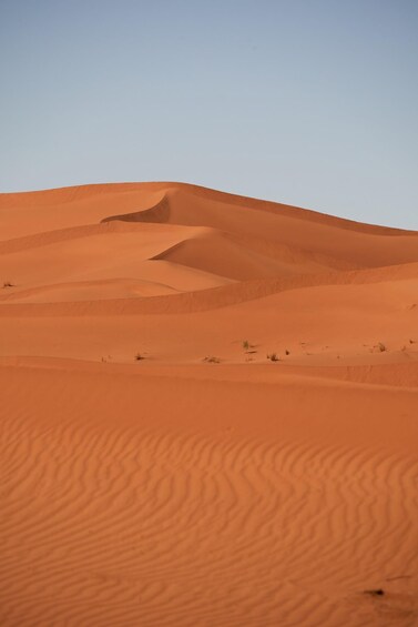 Picture 4 for Activity Desert Marvels: 7-Day Expedition from Casablanca