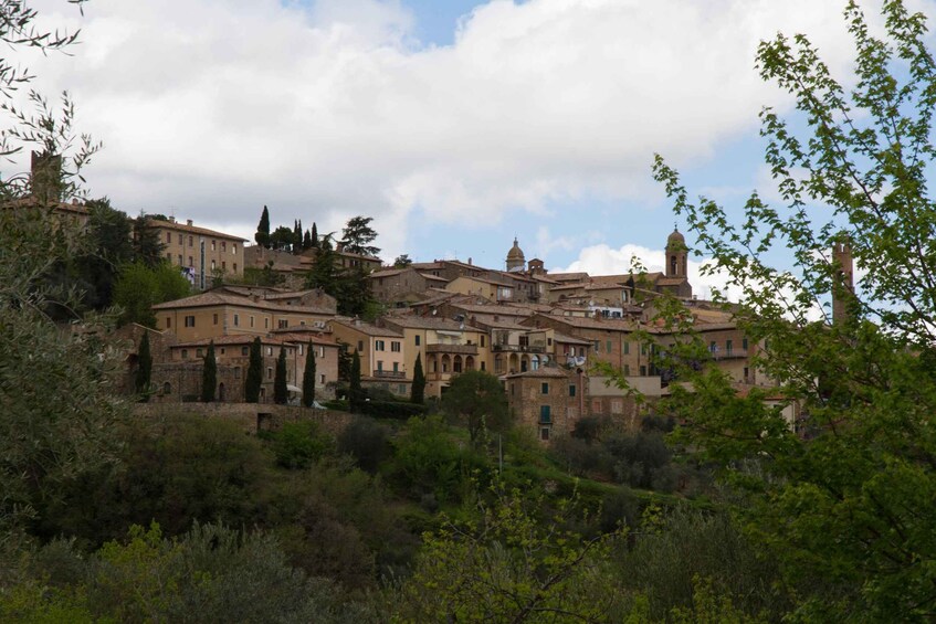 Picture 3 for Activity Valdorcia: Montalcino and Montepulciano scenery in the world