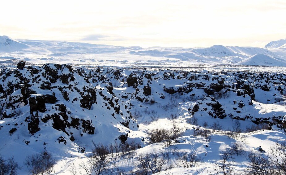 Picture 1 for Activity From Akureyri: Private Lake Mývatn Day Trip with Local Guide