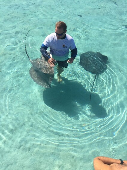 Picture 3 for Activity Tahiti island: 4 hours Snorkeling Tour