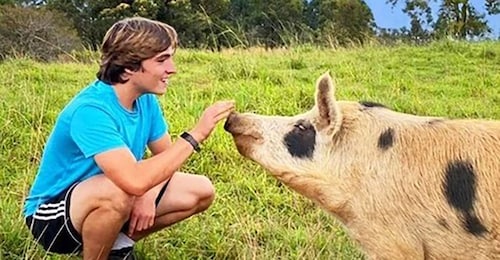 Laupahoehoe: Farm Animal Sanctuary Private Tour