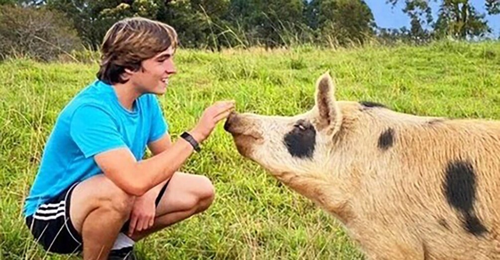 Laupahoehoe: Farm Animal Sanctuary Private Tour