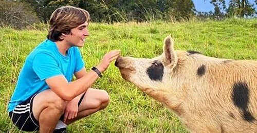 Laupahoehoe: Farm Animal Sanctuary Private Tour