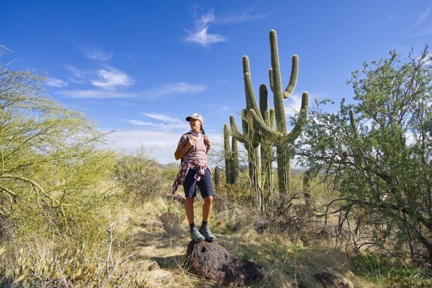 Scottsdale Classic Hiking Adventure in the Sonoran Desert