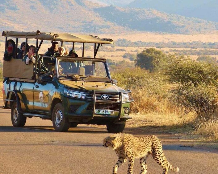 Picture 1 for Activity Kruger Park Shared Full day Safari Drive from Hazyview