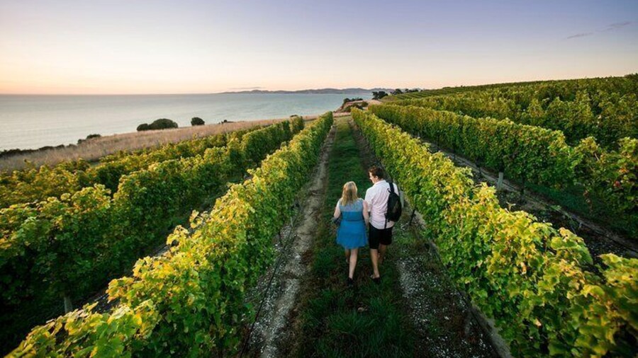 Enjoy a romantic outing.