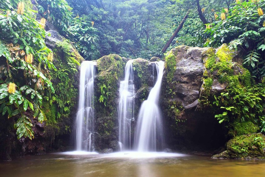 Picture 5 for Activity Nordeste/Northeast coast FULL DAY Waterfalls Hike