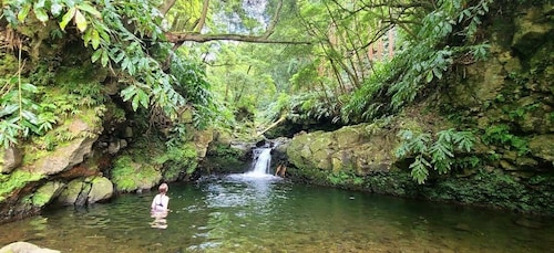 Nordeste Waterfalls Half day Hike