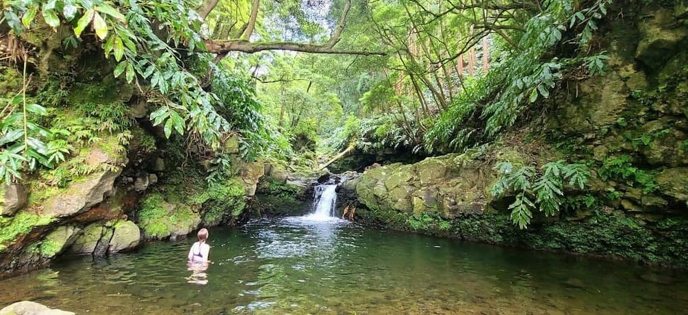 Nordeste/Northeast coast FULL DAY Waterfalls Hike