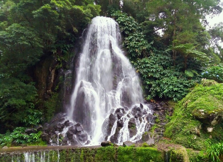 Picture 6 for Activity Nordeste/Northeast coast FULL DAY Waterfalls Hike