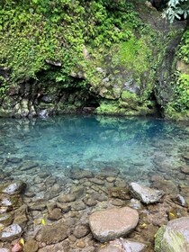 Nordeste Cascades Randonnée d’une demi-journée