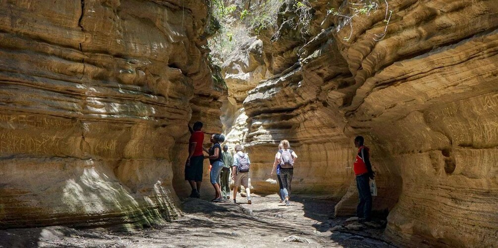 Picture 3 for Activity Day trip to hells gate park and optional lake Naivasha