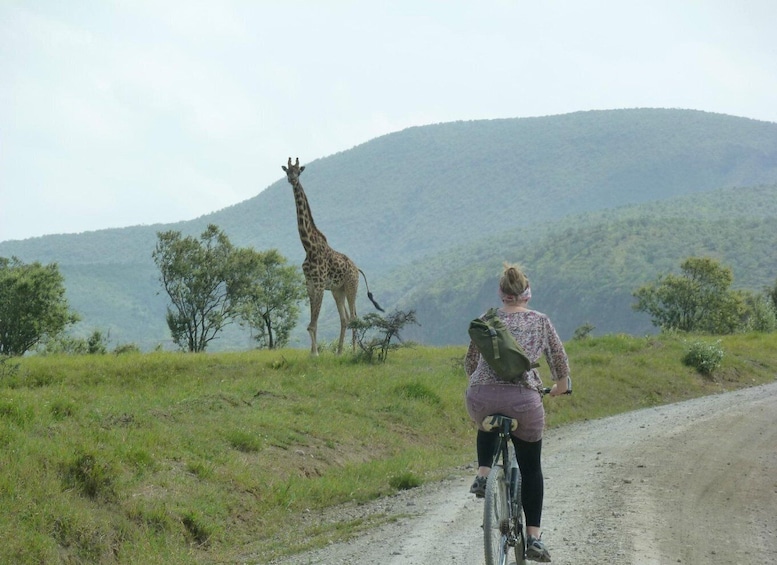 Day trip to hells gate park and optional lake Naivasha