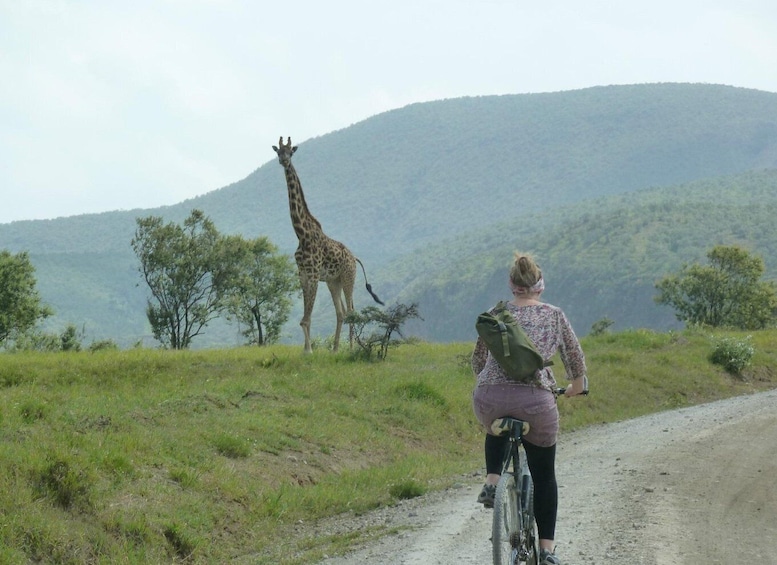 Day trip to hells gate park and optional lake Naivasha