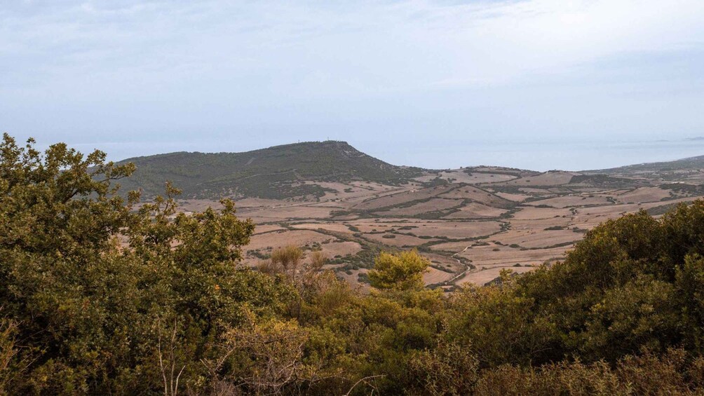 Picture 7 for Activity Sedini: horseback riding in Castelsardo area