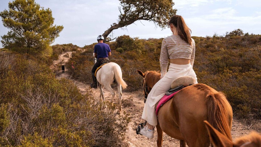 Picture 5 for Activity Sedini: horseback riding in Castelsardo area