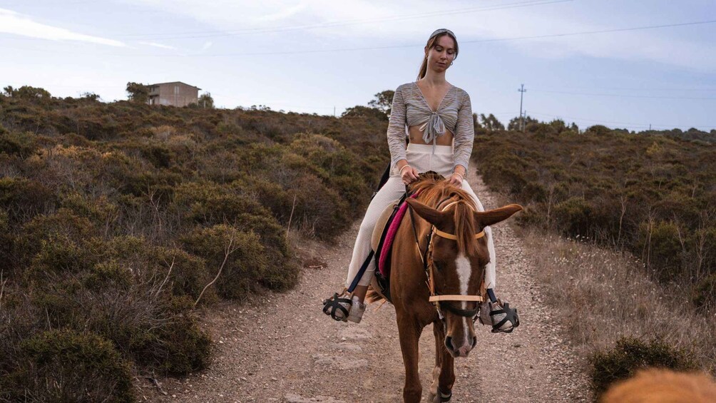 Picture 1 for Activity Sedini: horseback riding in Castelsardo area