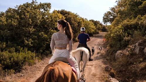 Sedini: horseback riding in Castelsardo area